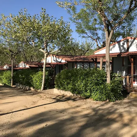 Campsite Camping D'aro Platja d'Aro
