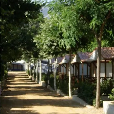 D'aro Camping Platja d'Aro