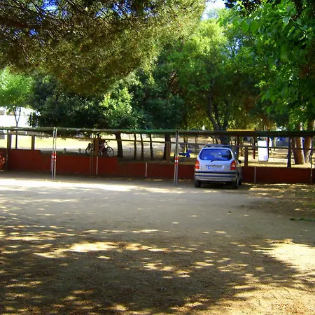 Campsite Camping D'aro Platja d'Aro