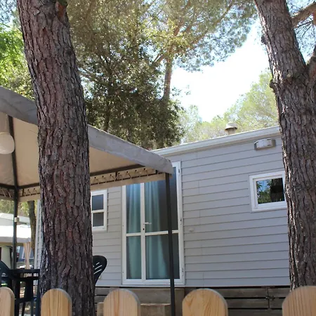 Càmping Camping D'aro Platja d'Aro