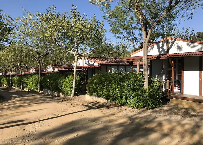 Camping D'aro Platja d'Aro (Playa de Aro)